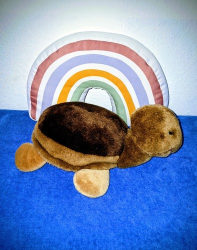 🧸°•...DDR