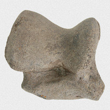 Fossil S. Etruscus Rollbein