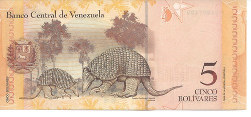 Geldschein banknote venezuela - geldschein,