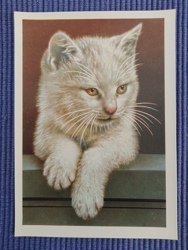 Alte ansichtskarte postkarte - ansichtskarte,