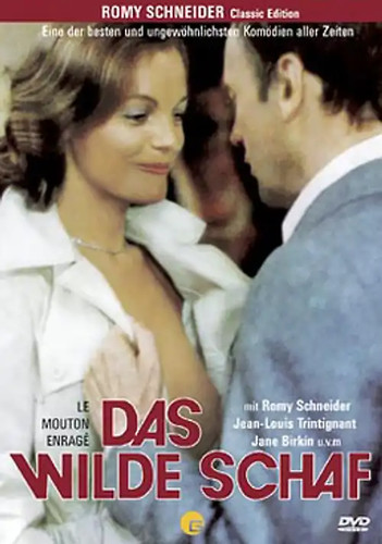 Das wilde schaf - wilde,