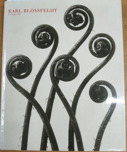 Karl blossfeldt fotografie - karl,