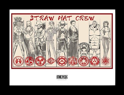 One piece strohhutbande - one,