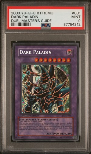 Yugioh dark paladin - dark,