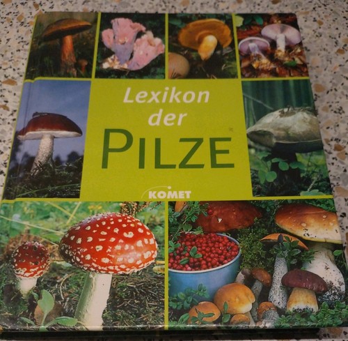 Lexikon der pilze von kothe - pilze,