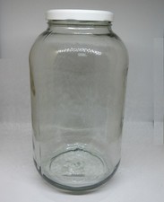 Glas rund für Flaschengarten