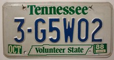 Tennessee Nummernschild USA Kennzeichen US License Plate Volunteer State 3G5W02
