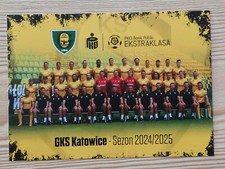 POLEN Manschaftskarte team