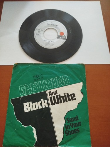 Greyhound black and white - greyhound, /