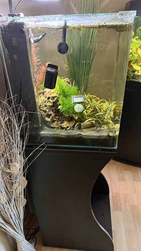 60l nano cube aquarium mit - 60l,
