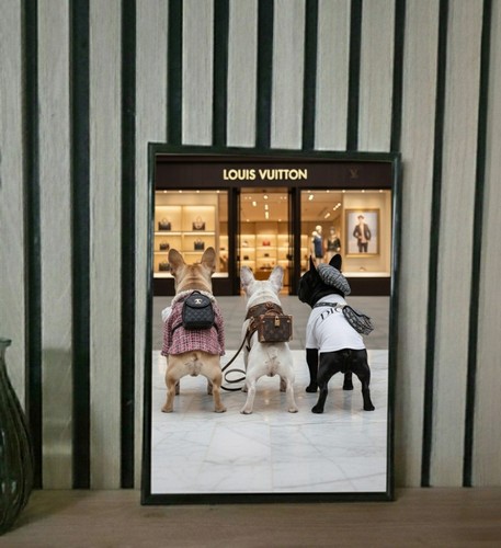 Bulldoggen louis chanel dior - bulldoggen,