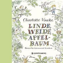 Linde, Weide, Apfelbaum: Bäume bestimmen mit Kind... | Buch | Zustand akzeptabel