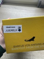 Leguano/Leguanito Scippo 