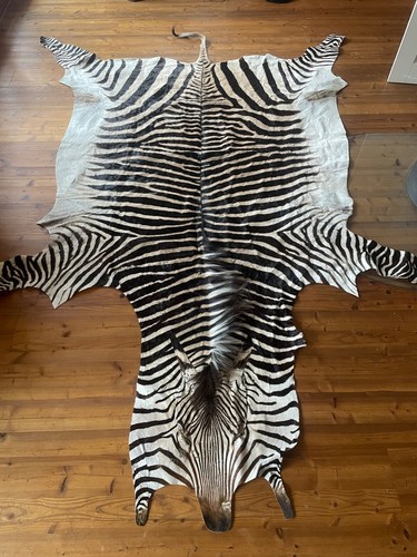 Rarität hartmann bergzebra - *raritÄt*,