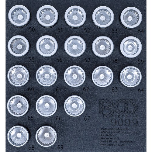 Bgs 9099 - bgs,