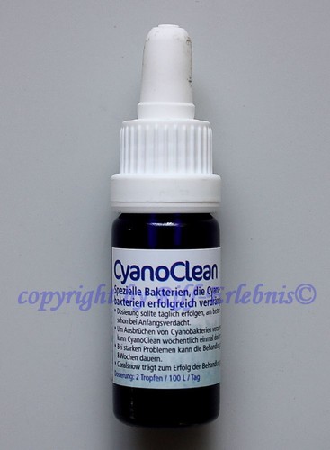 Cyanoclean 10ml korallenzucht - cyanoclean,