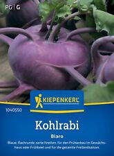 Kiepenkerl Kohlrabisamen Blaro, für ca 90 Pflanzen - blaue Knollen - Top-Sorte