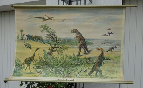 Schulkarte tiere der - tiere,