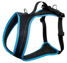 Grossenbacher Dogs FunRun