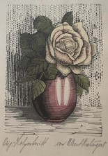 Albert Aichinger (1866–XX)