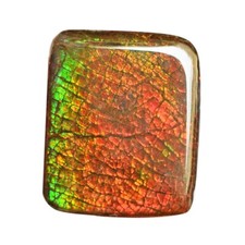 Natürlicher Ammolith lose