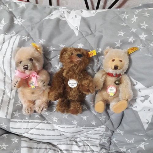 Steiff teddys - steiff,