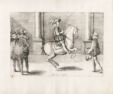 Reitschule riding school Pferd