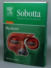 sobotta lernkarten muskeln