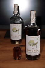Slowdrink Clubflasche Essence