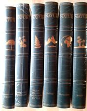 Konvolut Brockhaus Faszination