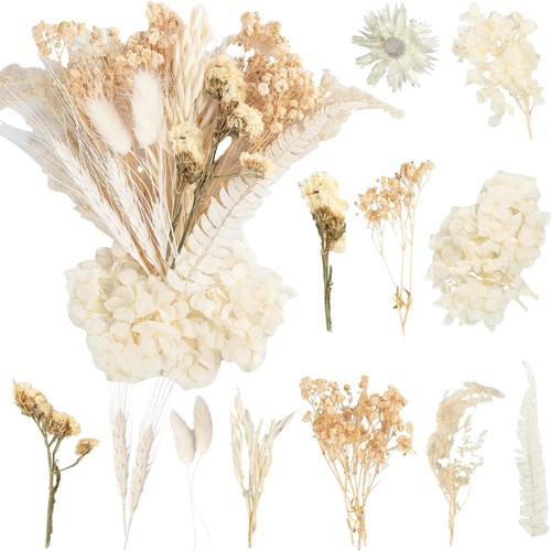 Natürliche trockenblumen - natürliche,