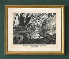 KÖNIG LUDWIG II BAYERN WINTERGARTEN MÜNCHEN DAS INDISCHE ZELT 42 im Goldrahmen