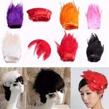 1M Feder Trimmen Fransen