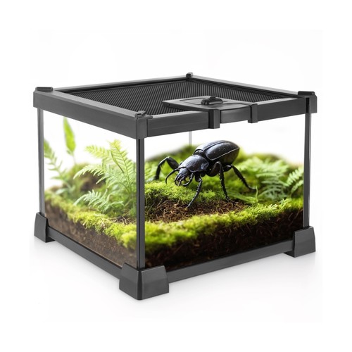 Mini reptile glass terrarium - mini,