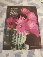 Schöne Kakteen richtig