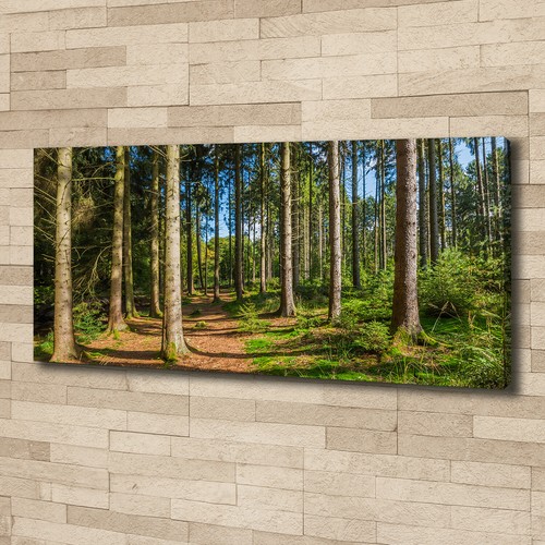 Leinwandbild kunst druck - leinwandbild, kunst-druck