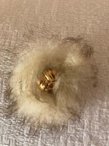 Ddr pelzbrosche ziger - pelzbrosche, 60.-ziger
