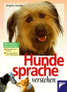 Hundesprache verstehen von