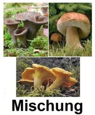 Pilz Mix 250g Herbsttrompen