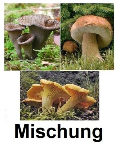 Pilz mix 250g herbsttrompen - mix,