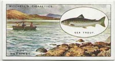 28/802 SAMMELBILD ANGELN FISCH SEA TROUT FISHING INNTHE HEBRIDES BOOT 