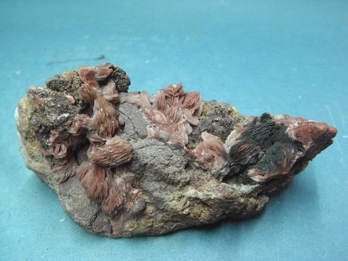 Baryt stufe mit barytnüssen - stufe,