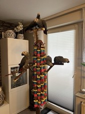 Papageienspielzeug XXXL