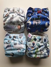 4x Blueberry Simplex Organic