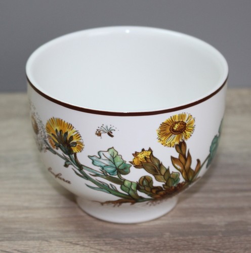 Villeroy boch b botanica - &,