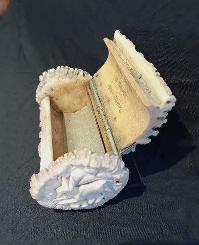 Schatulle aus hirschhorn - aus,