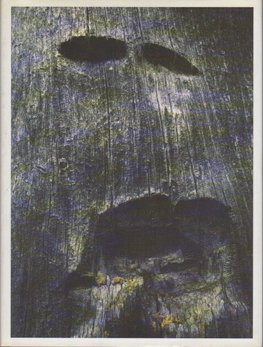 Holz arunda 38 - holz., arunda;