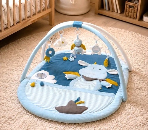 Fehn activity baby - *fehn,