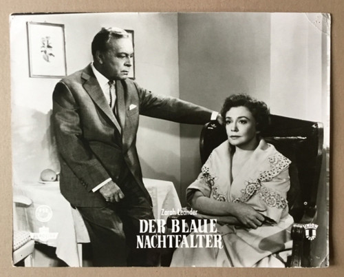 Der blaue nachtfalter - blaue,