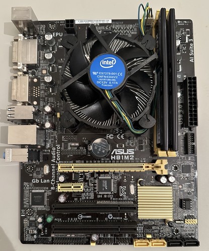 Asus h81m2 4460 - i5-4460, 8gb